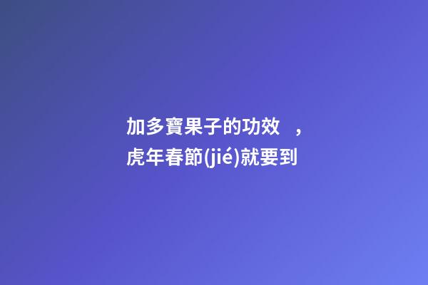 加多寶果子的功效，虎年春節(jié)就要到-第1張-觀點-玄機派